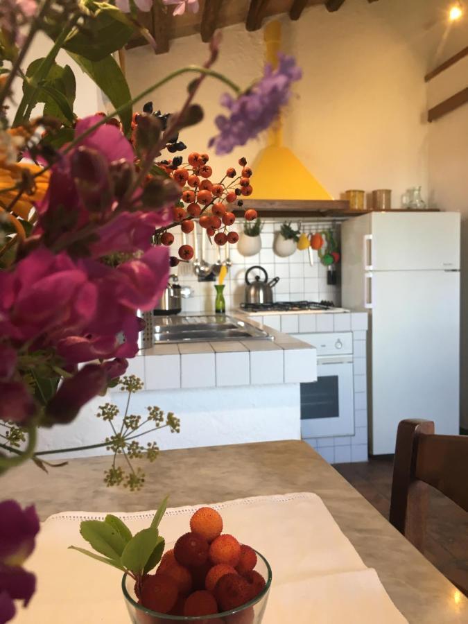 Villa San Regolino Whit Private Pool Radicondoli Exterior foto